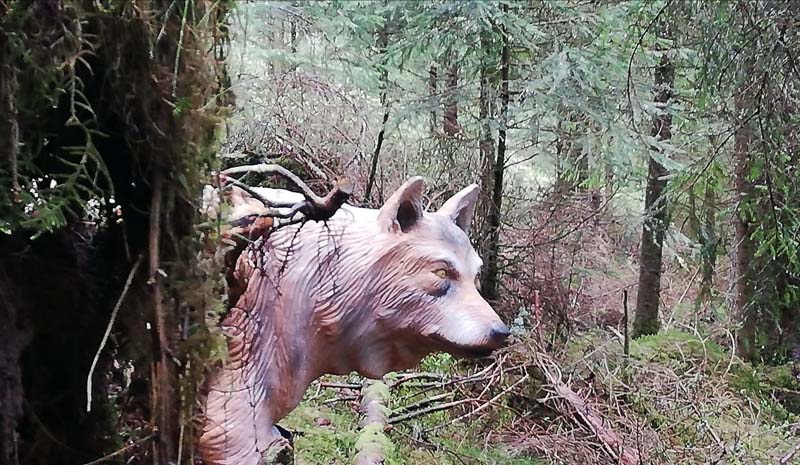 instarch 190509 1599 x 929-bogenschiessen