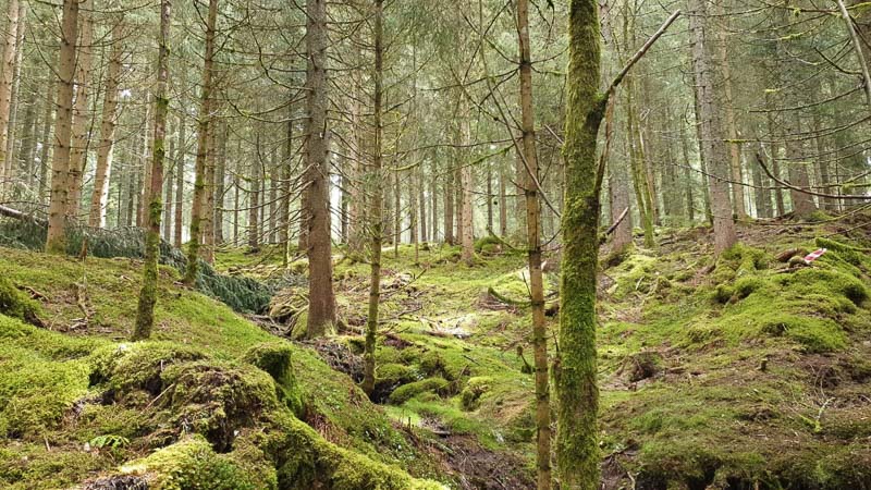 instarch 190509 1600 x 900-bogenschiessen