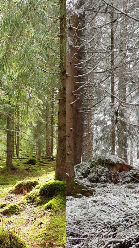 instarch 190509 2172 x 3862 Kopie-bogenschiessen