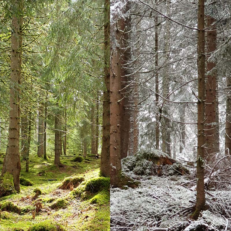 instarch 190509 2896 x 2896 Kopie-bogenschiessen