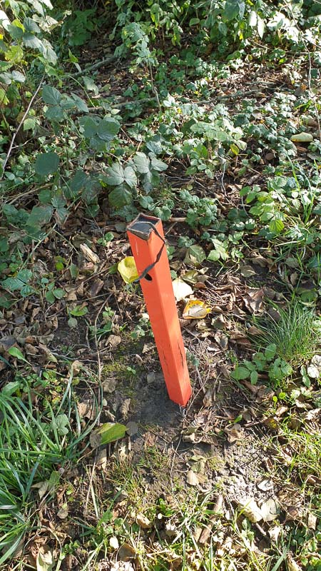 instarch 191012 2268 x 4032 10-bogenschiessen