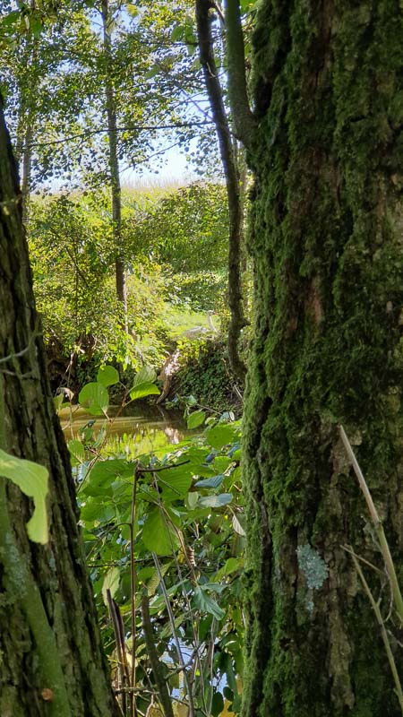 instarch 191012 2268 x 4032 12-bogenschiessen