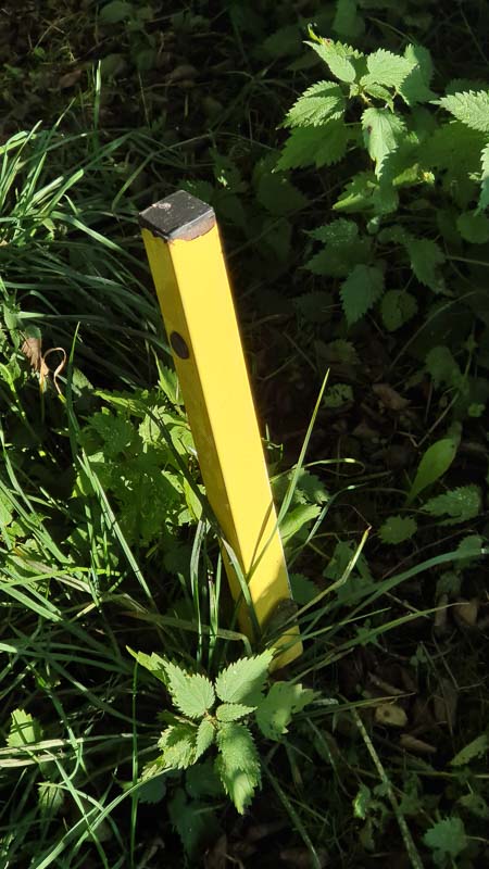 instarch 191012 2268 x 4032 13-bogenschiessen