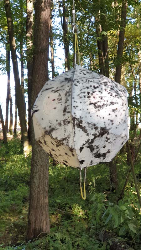 instarch 191012 2268 x 4032 18-bogenschiessen