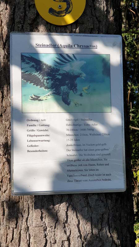 instarch 191012 2268 x 4032 19-bogenschiessen