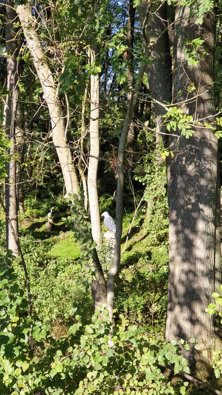 instarch 191012 2268 x 4032 20-bogenschiessen