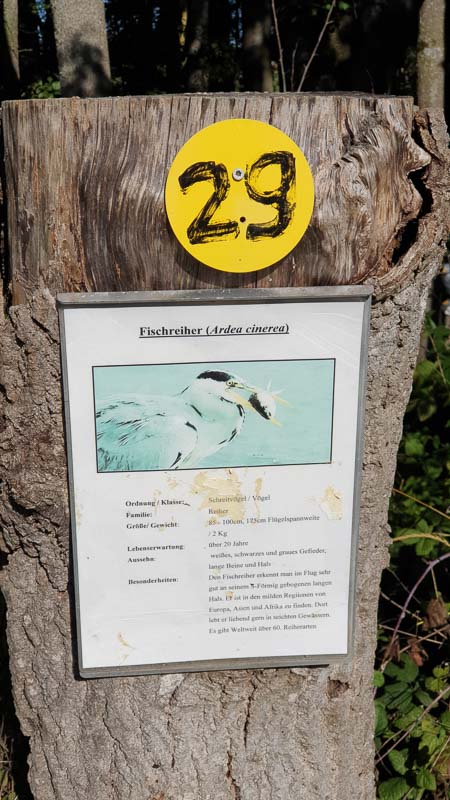 instarch 191012 2268 x 4032 23-bogenschiessen