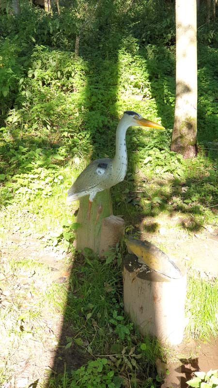 instarch 191012 2268 x 4032 24-bogenschiessen