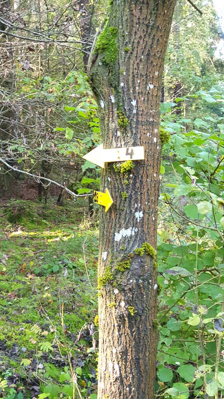 instarch 191012 2268 x 4032 25-bogenschiessen