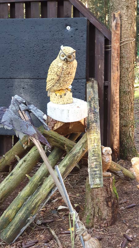 instarch 191012 2268 x 4032 28-bogenschiessen