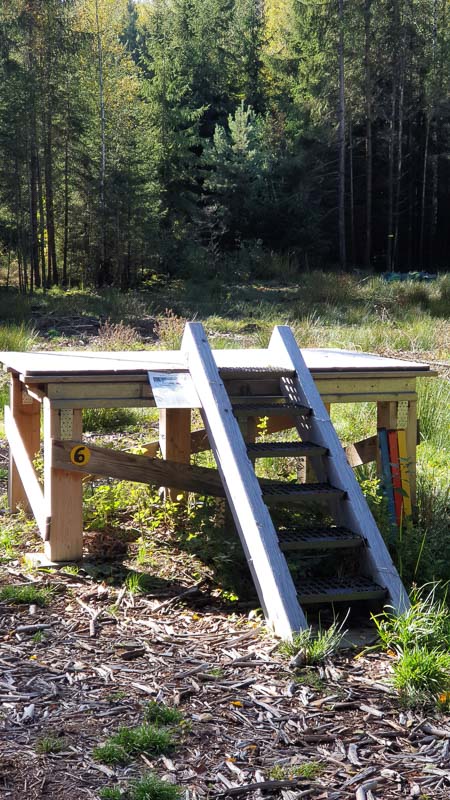 instarch 191012 2268 x 4032 29-bogenschiessen