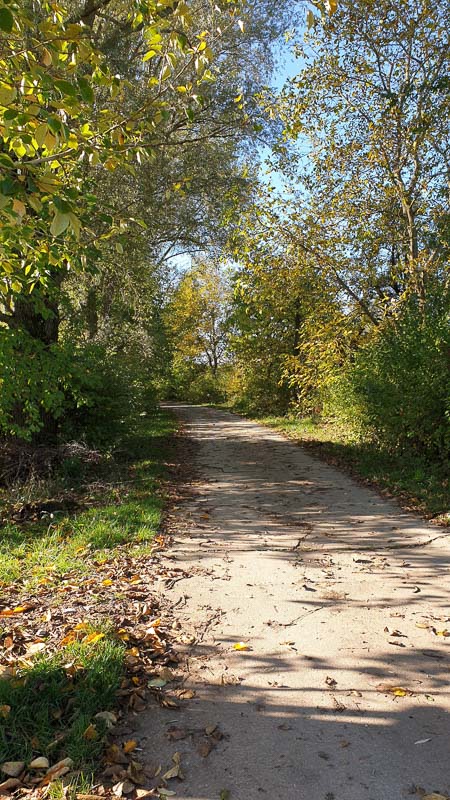 instarch 191012 2268 x 4032 3-bogenschiessen