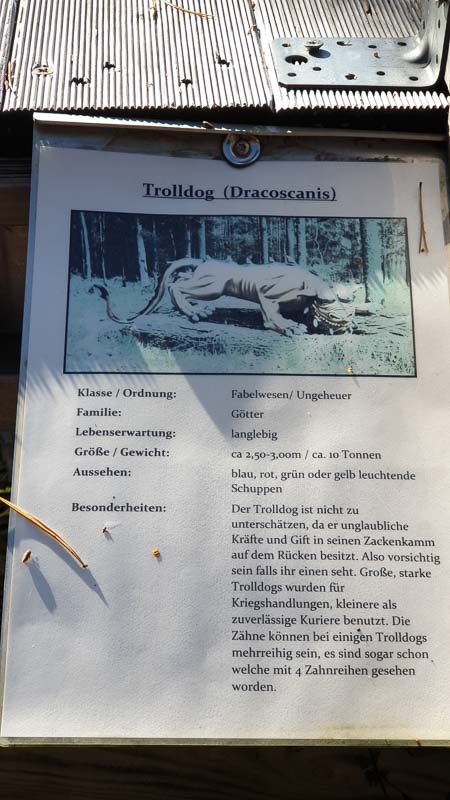 instarch 191012 2268 x 4032 30-bogenschiessen