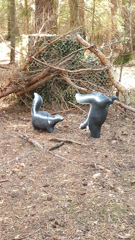 instarch 191012 2268 x 4032 31-bogenschiessen