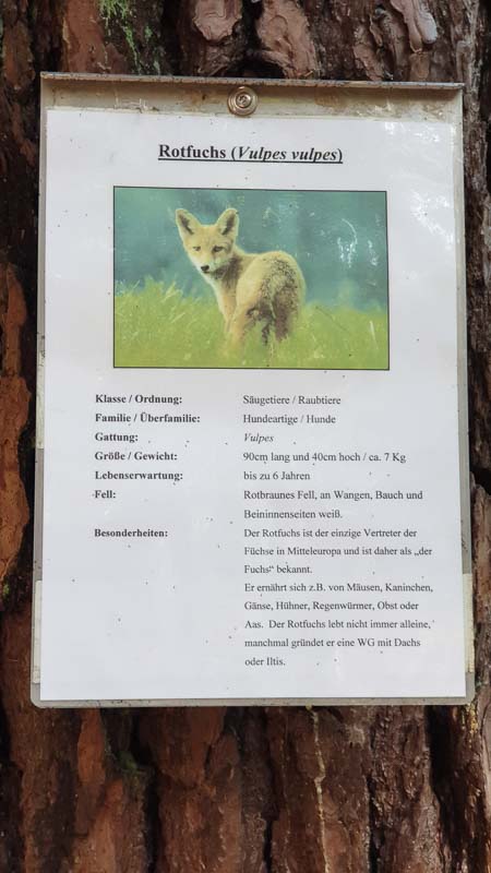 instarch 191012 2268 x 4032 33-bogenschiessen