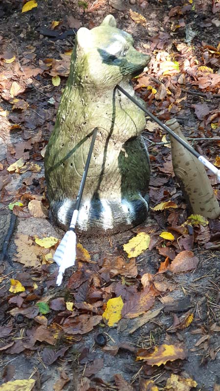 instarch 191012 2268 x 4032 36-bogenschiessen