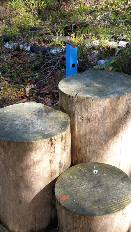 instarch 191012 2268 x 4032 39-bogenschiessen