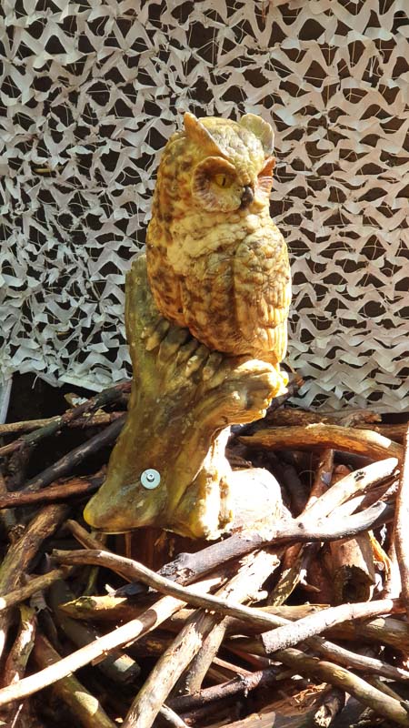 instarch 191012 2268 x 4032 41-bogenschiessen