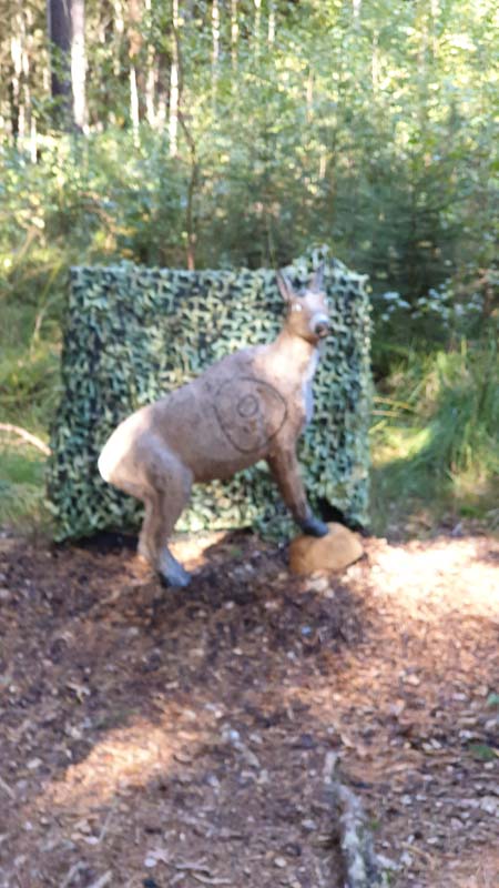 instarch 191012 2268 x 4032 42-bogenschiessen