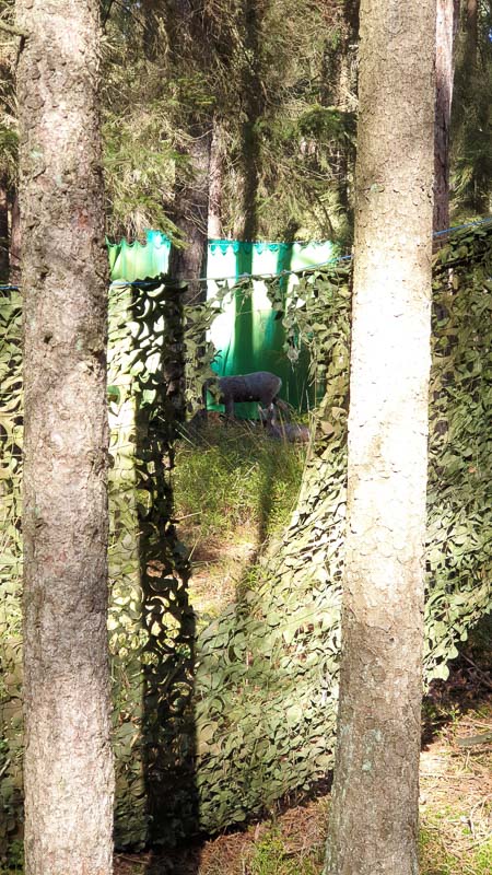 instarch 191012 2268 x 4032 44-bogenschiessen