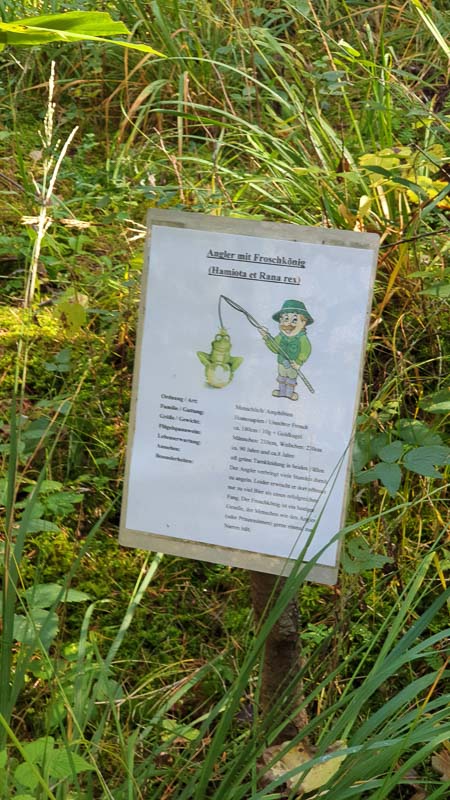 instarch 191012 2268 x 4032 45-bogenschiessen