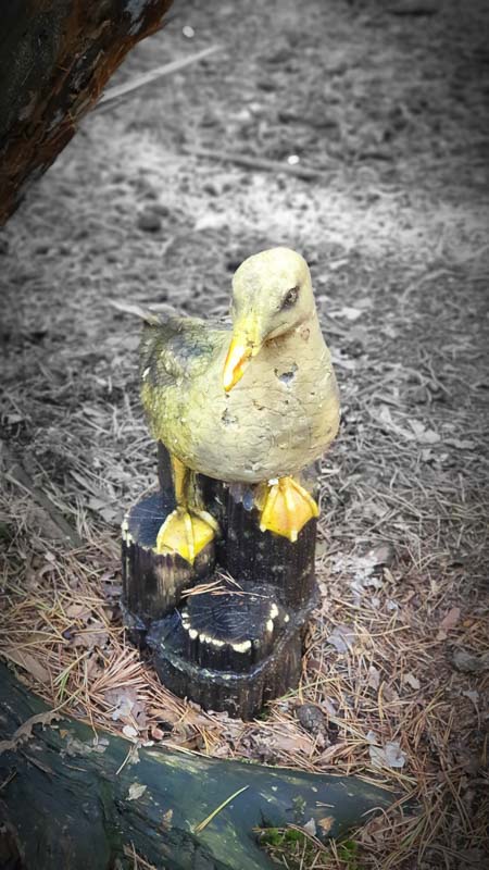 instarch 191012 2268 x 4032 46-bogenschiessen