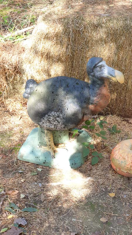 instarch 191012 2268 x 4032 47-bogenschiessen