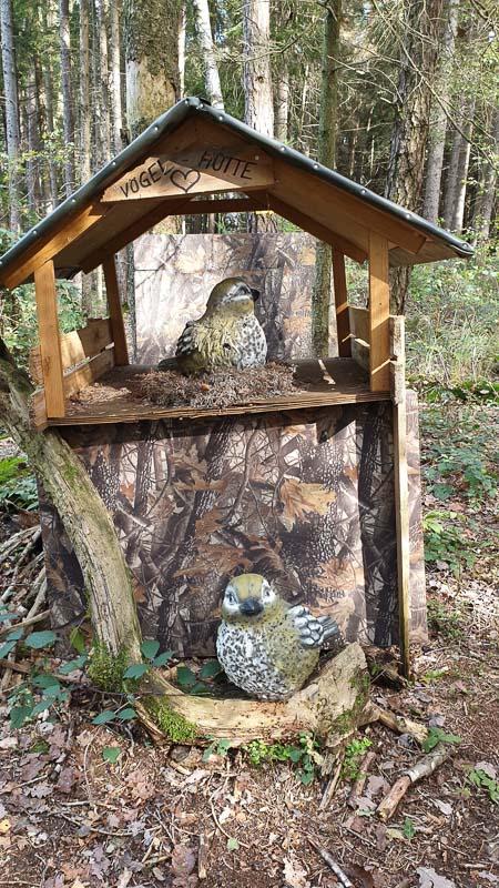 instarch 191012 2268 x 4032 49-bogenschiessen