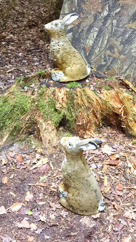 instarch 191012 2268 x 4032 51-bogenschiessen