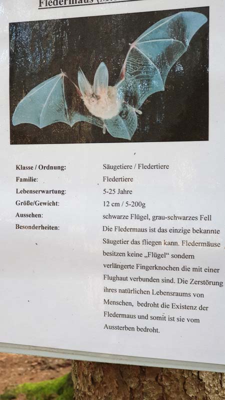 instarch 191012 2268 x 4032 52-bogenschiessen