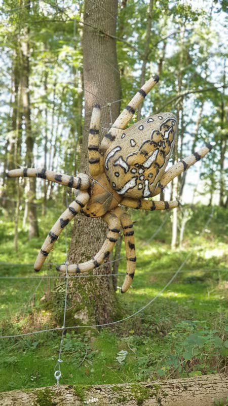 instarch 191012 2268 x 4032 54-bogenschiessen