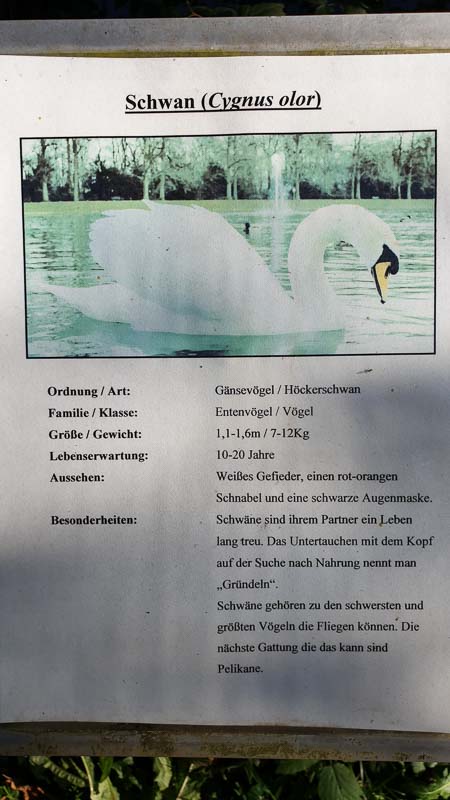 instarch 191012 2268 x 4032 8-bogenschiessen