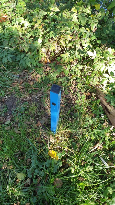 instarch 191012 2268 x 4032 9-bogenschiessen