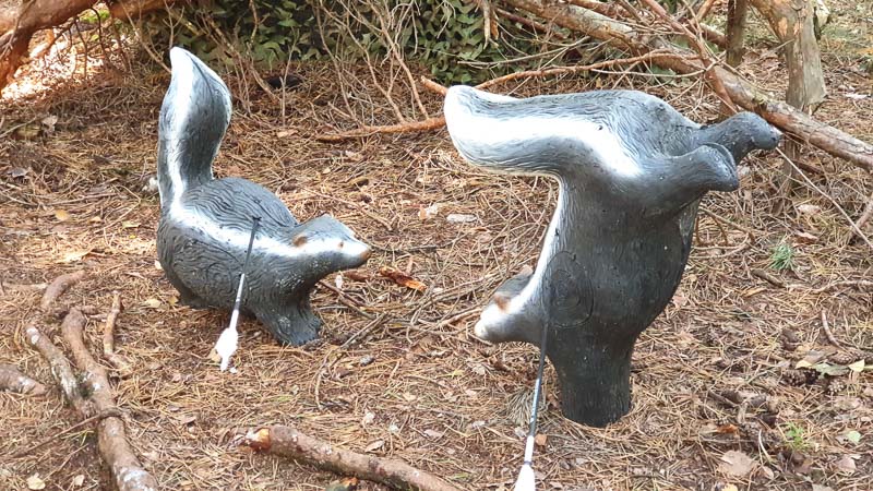 instarch 191012 4032 x 2268 11-bogenschiessen