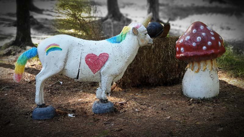 instarch 191012 4032 x 2268 13-bogenschiessen