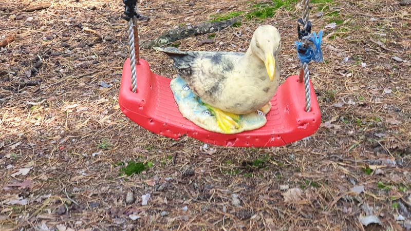 instarch 191012 4032 x 2268 17-bogenschiessen