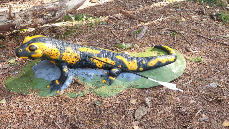 instarch 191012 4032 x 2268 19-bogenschiessen