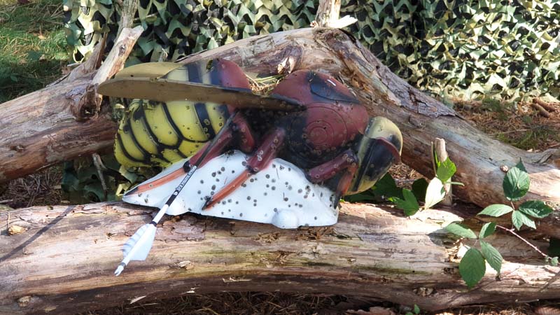 instarch 191012 4032 x 2268 20-bogenschiessen