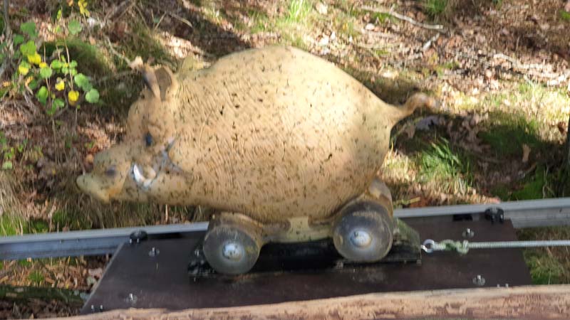 instarch 191012 4032 x 2268 21-bogenschiessen