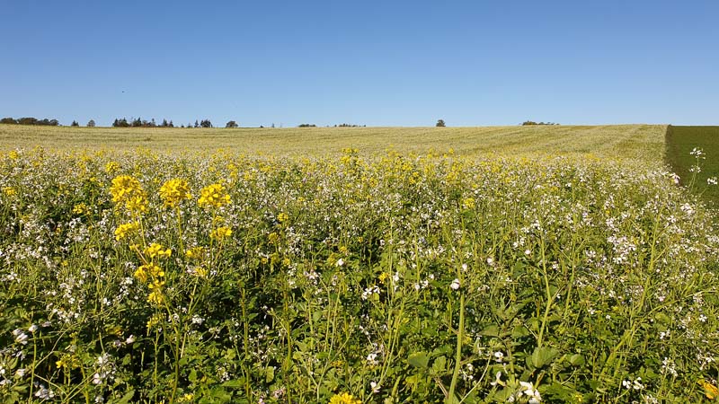 instarch 191012 4032 x 2268 6-bogenschiessen