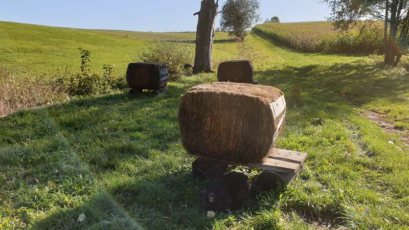 instarch 191012 4032 x 2268 8-bogenschiessen