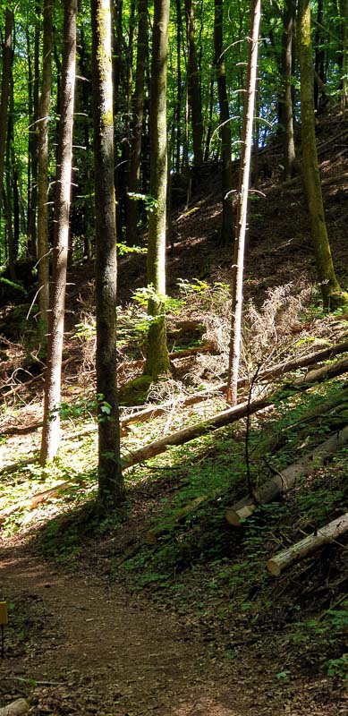 instarch 200601 1960 x 4032 35-bogenschiessen