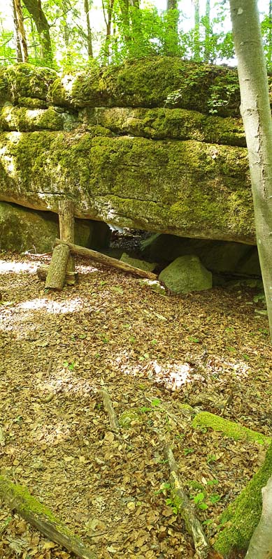 instarch 200601 1960 x 4032 43-bogenschiessen