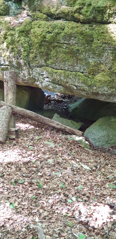 instarch 200601 1960 x 4032 44-bogenschiessen