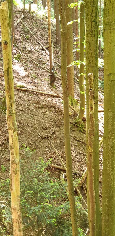 instarch 200601 1960 x 4032 49-bogenschiessen