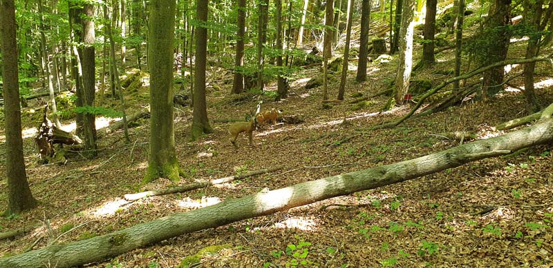 instarch 200601 4032 x 1960 22-bogenschiessen