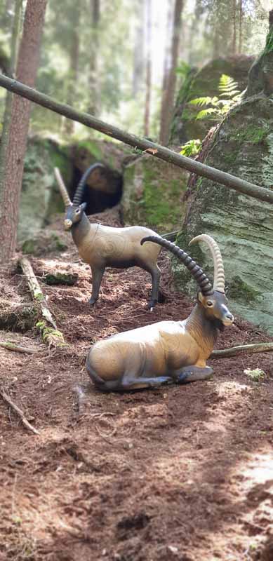 20200718 142844-bogenschiessen