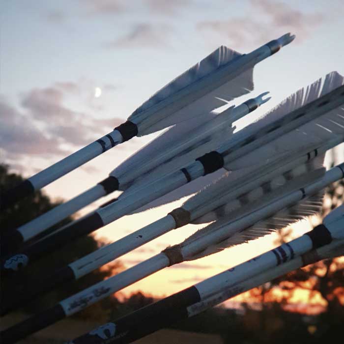 Pfeile Bogenschießen