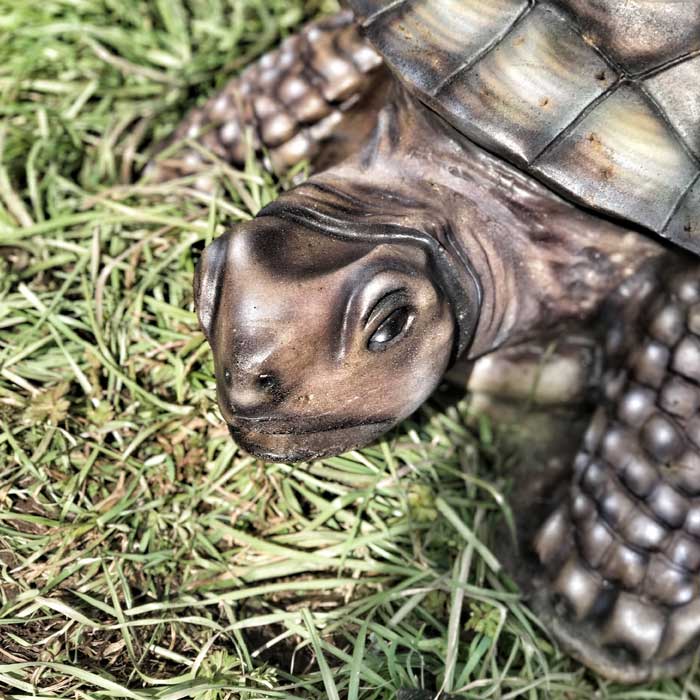 3D Parcours Bogenschiessen Ziel Schildkröte