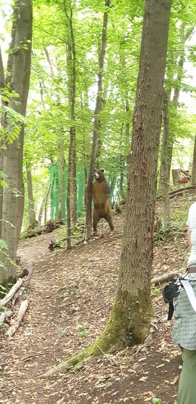 instarch 200727 1960 x 4032 15-bogenschiessen